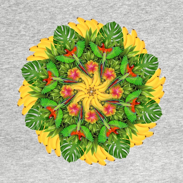 tropic parrots mandala by burenkaUA